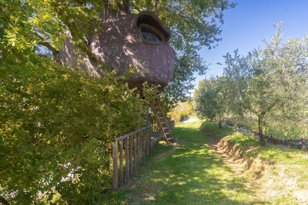 Odina Agriturismo Loro Ciuffenna Exteriör bild